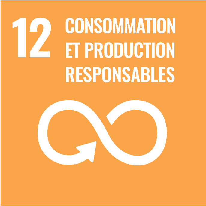 Consommation et production responsables