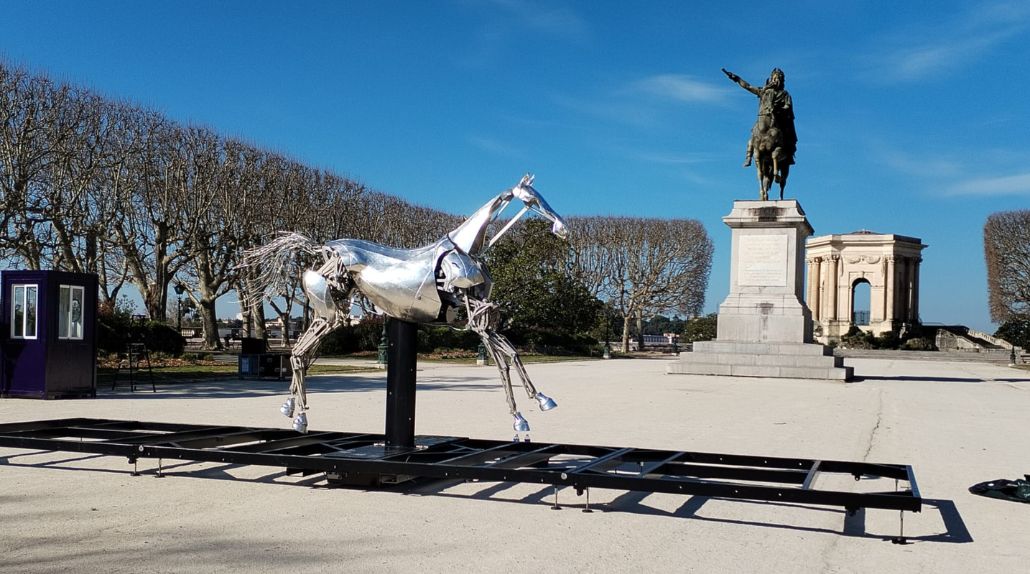 Zeus, le cheval des JO arrive à Montpellier avec Cargomatic 